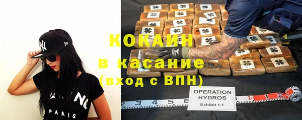 прущие грибы Аркадак