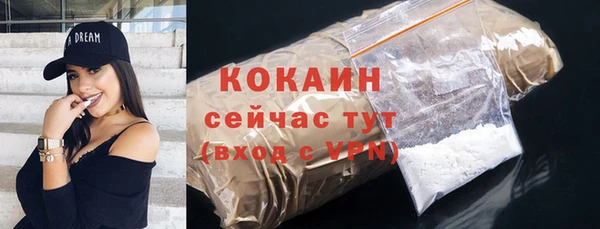 прущие грибы Аркадак