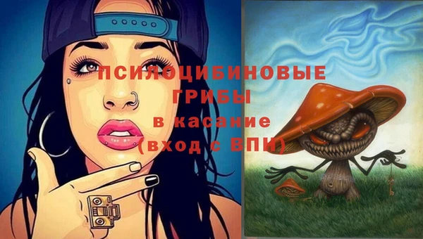 mix Арсеньев