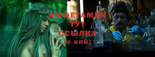 прущие грибы Аркадак